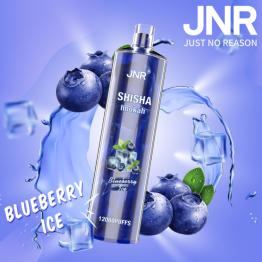 Desechable BLUEBERRY ICE Shisha Hookah JNR 12000 Puff SIN NICOTINA