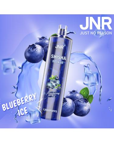 Desechable BLUEBERRY ICE Shisha Hookah JNR 12000 Puff SIN NICOTINA