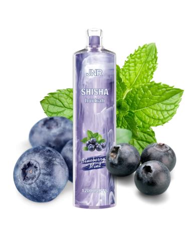 Desechable BLUEBERRY MINT Shisha Hookah JNR 12000 Puff SIN NICOTINA