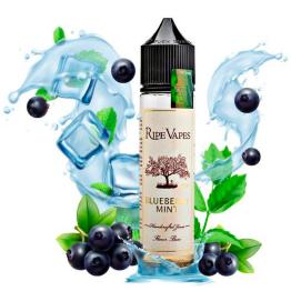 ▷ RIPE VAPES Blueberry Mint 50ml + Nicokit Gratis